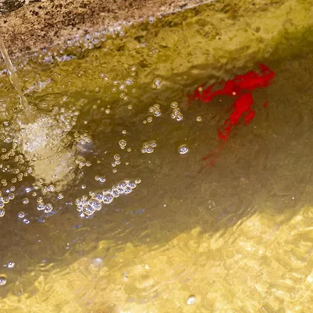 Le Clos D'argenson לינה וארוחת בוקר ברגרק