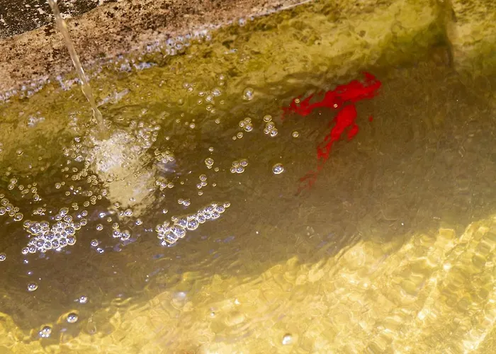 Le Clos D'argenson Bed & Breakfast Bergerac